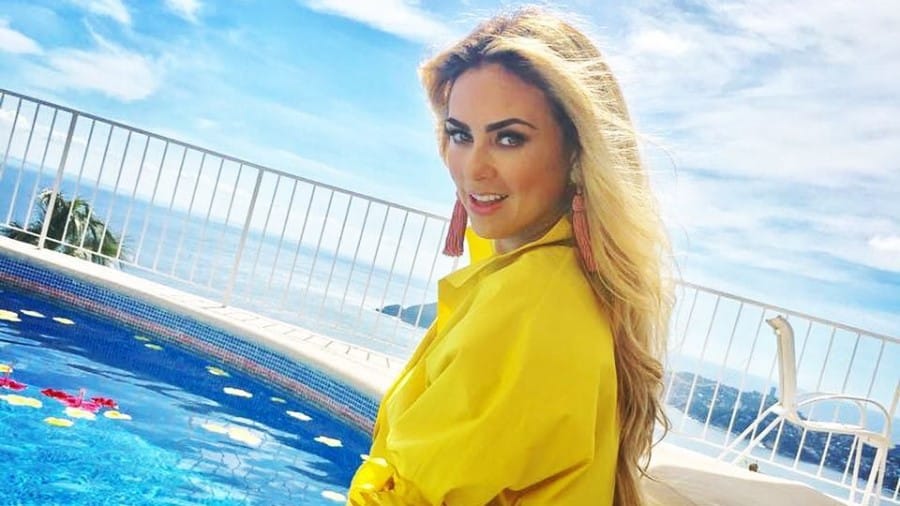 En este momento estás viendo Aracely Arámbula presume su brutal cuerpazo en Instagram