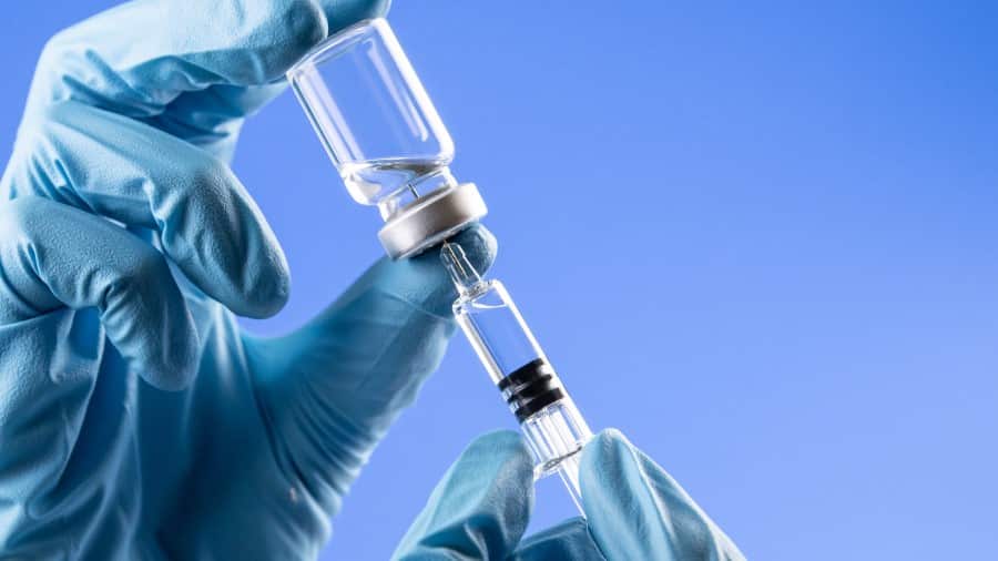 Los científicos evaluarán la reacción inmune de los animales tras la aplicación de la vacuna