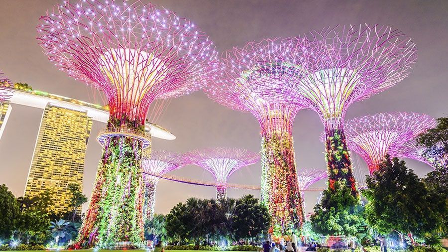 Los superárboles de Singapur lucen impresionantes