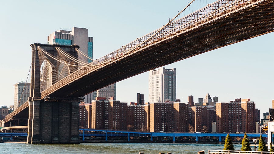 Algunas personas llaman a sacar al Ejército para controlar la situación en Nueva York