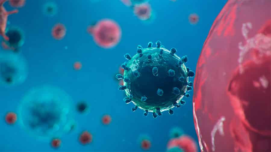 El coronavirus desató una crisis sanitaria y económica