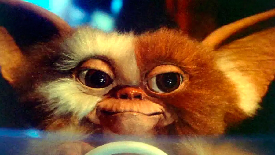 En este momento estás viendo Gremlins 3: Chris Columbus ilusiona tras revelar nuevos detalles