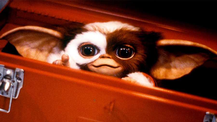 Los Gremlins es considerada una franquicia de culto