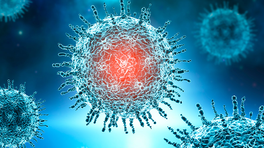La pandemia de Covid-19 ha sido el mayor desafío sanitario del siglo XXI