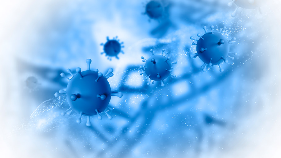 La pandemia de Covid-19 estalló en el primer trimestre de 2020