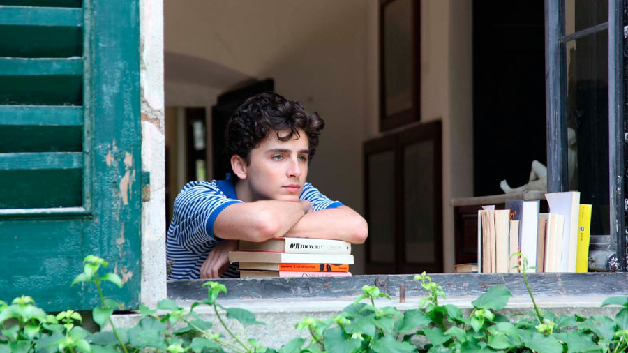 Timothée Chalamet interpreta a Elio / Foto: Sony Pictures