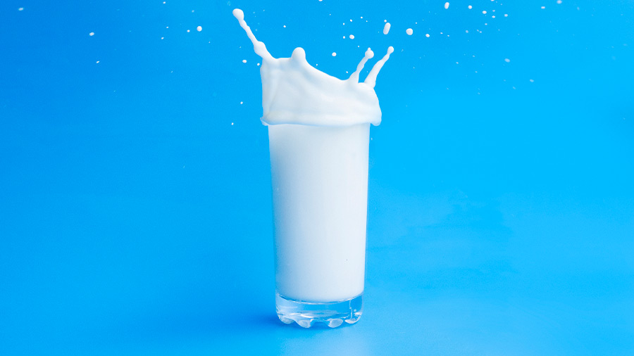 La leche es un alimento rico en proteínas y minerales