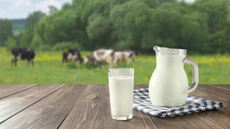 Los ingredientes de la leche explican su alto valor nutricional