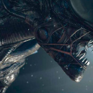 Lee más sobre el artículo Disney reactivaría la saga ‘Alien’ con xenomorfos “buenos” ¿Funcionará?