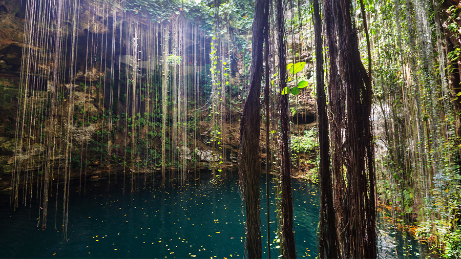 El Cenote Sagrado también es conocido como Ik-Kil