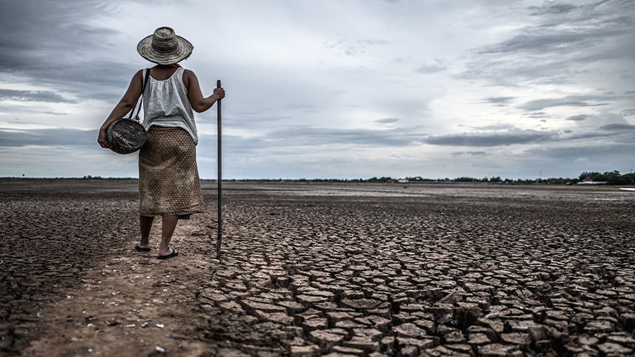 Los acuerdos de la COP26 no son suficientes, dicen los expertos