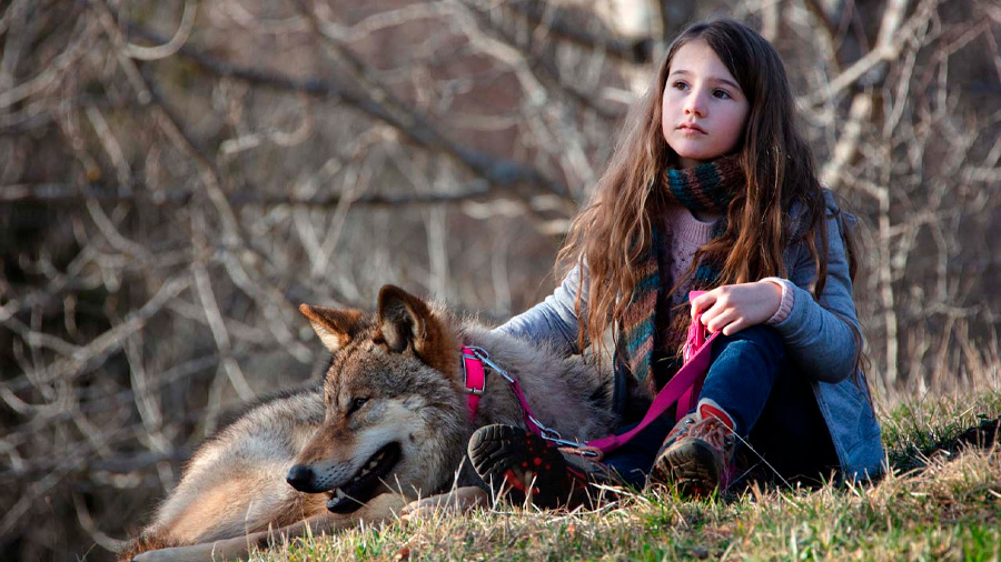 La cinta explora la relación de amistad entre una niña y un lobo