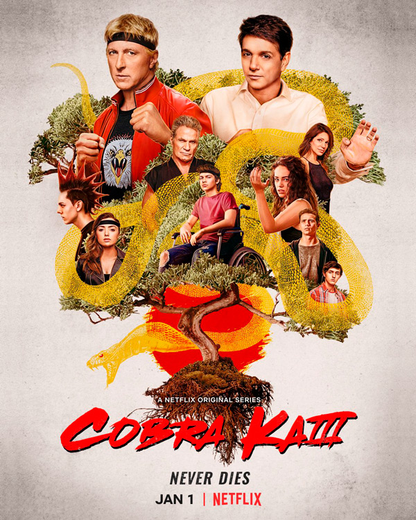 Póster de Cobra Kai Temporada 3