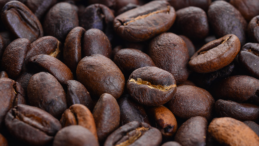 Compra solo el café necesario y en lotes pequeños