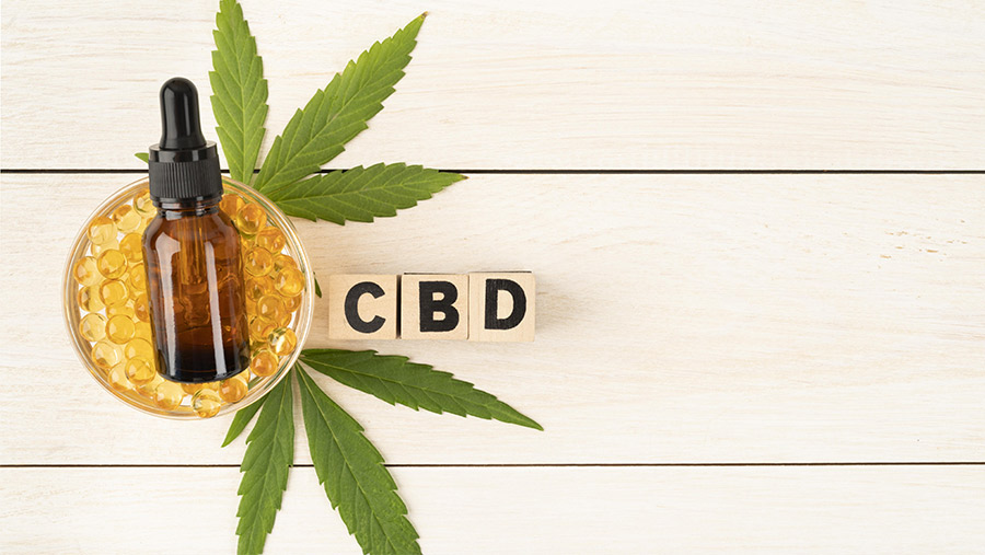 El CBD no tiene los componentes psicoactivos del THC