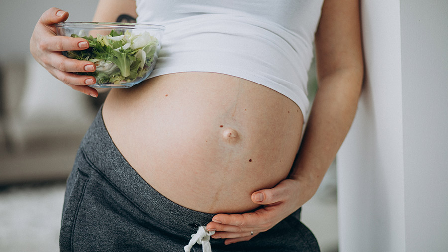 Asesórate con un experto para llevar la dieta correcta durante tu embarazo