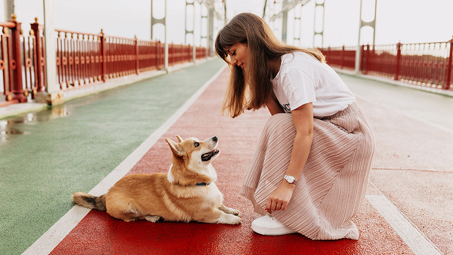 Entrenadora de perros