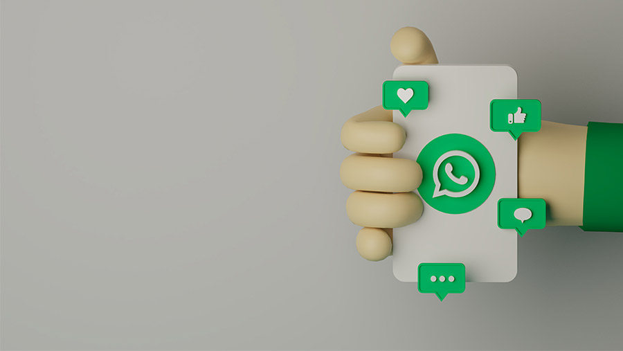 WhatsApp logo modelo