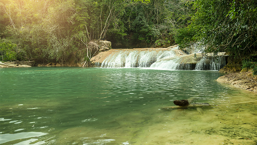 Cascadas de Agua Azul