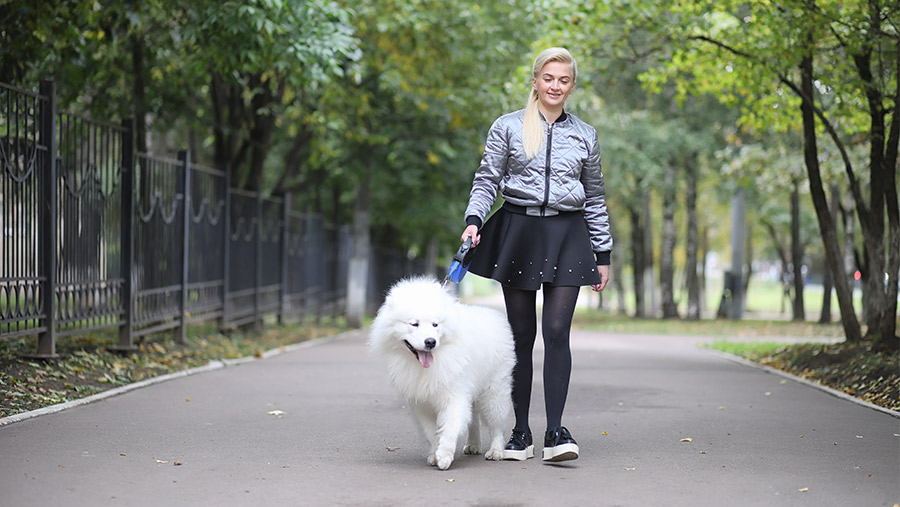 Mujer paseando a perro