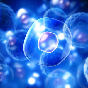 Lee más sobre el artículo ¿Cómo han evolucionado las células madre?