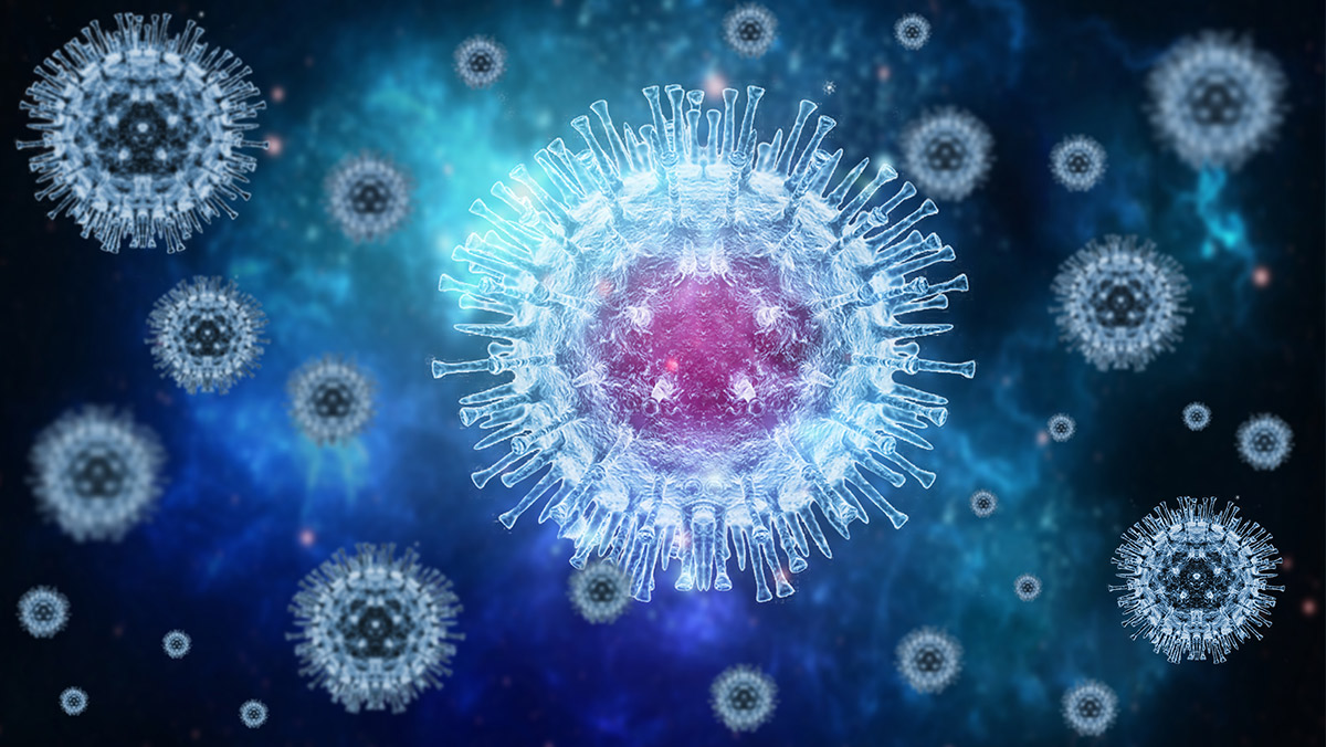 Virus causante de la viruela del mono