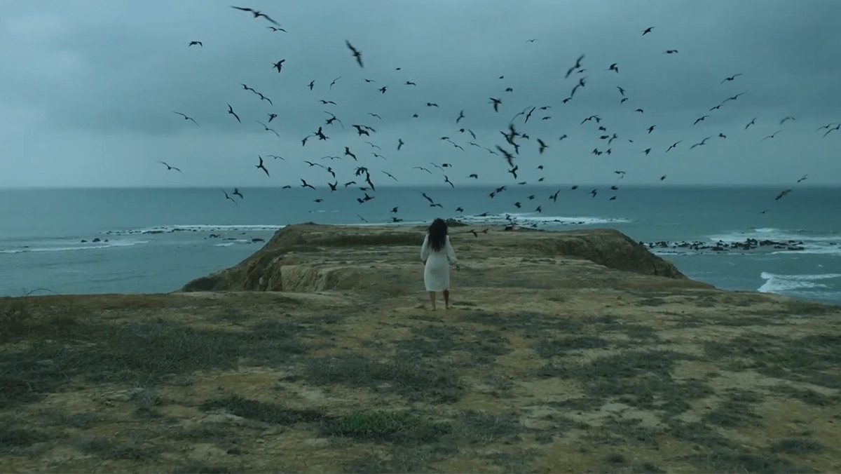 Mujer caminando en una isla con gaviotas de fondo