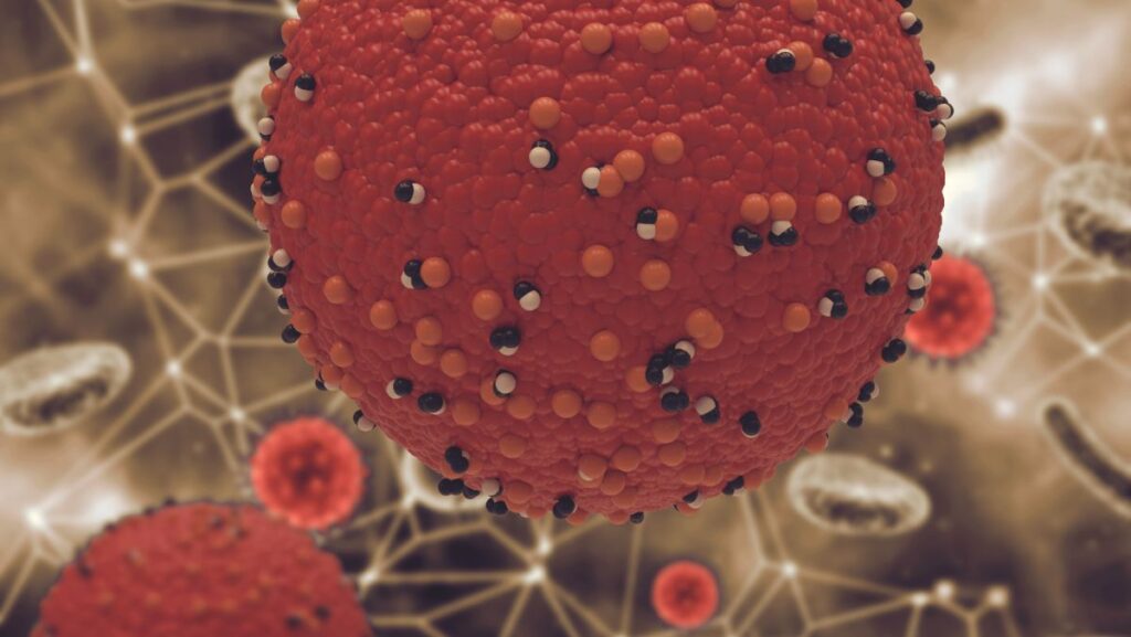 Modelo de virus de sarampión