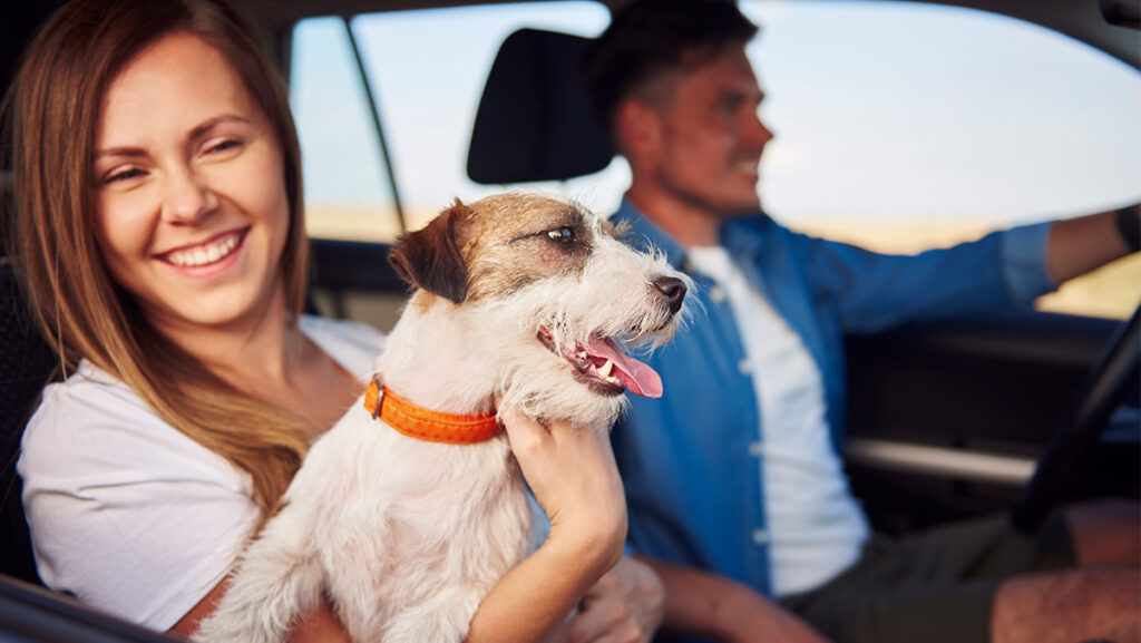 Pareja en auto con mascota