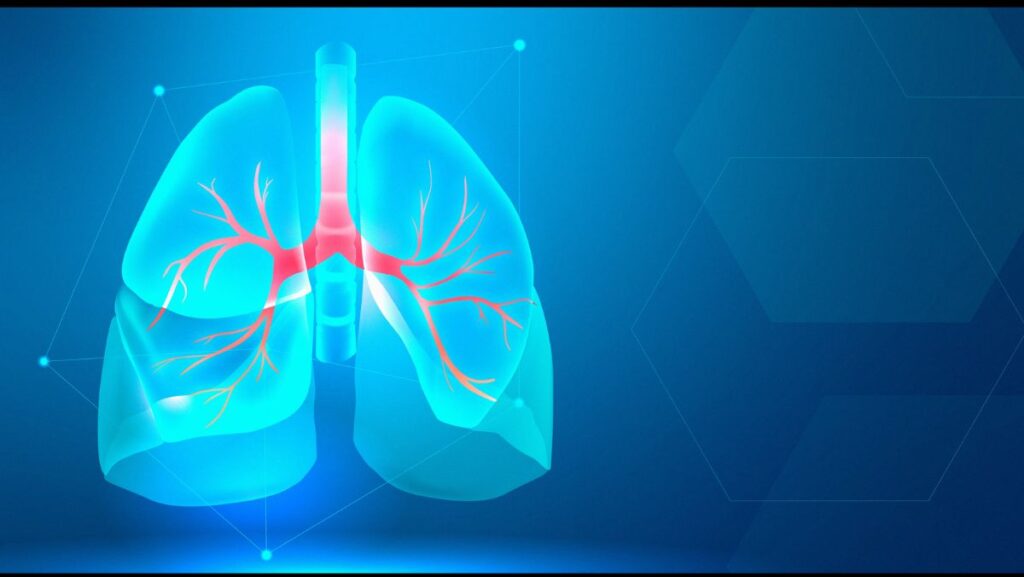 Modelo de pulmones