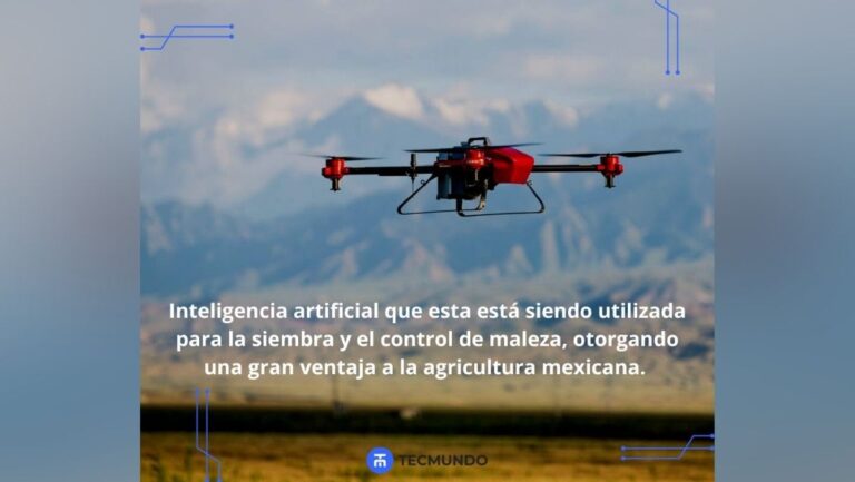 Lee más sobre el artículo Principales usos de un drone agrícola y el futuro de la agricultura