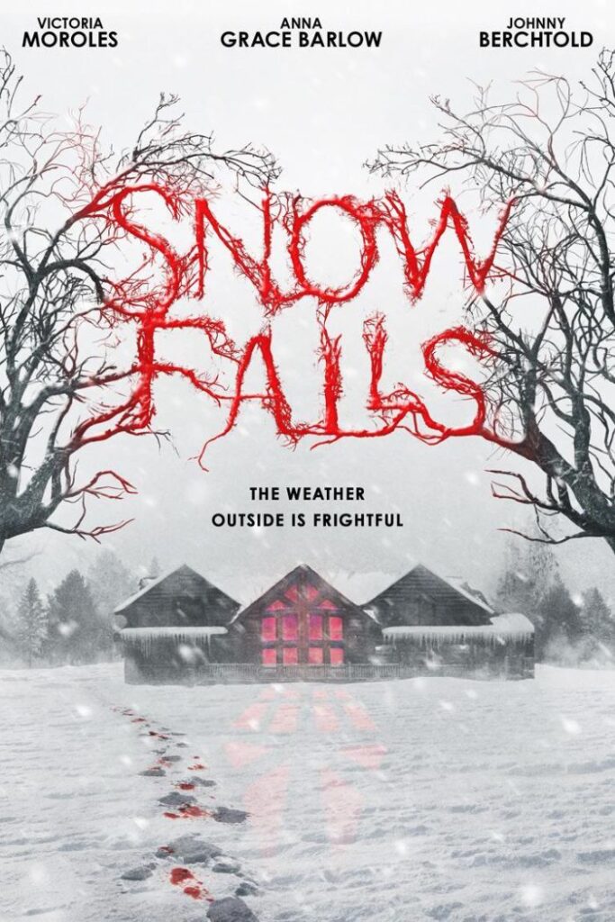 Póster de la película Snow Falls