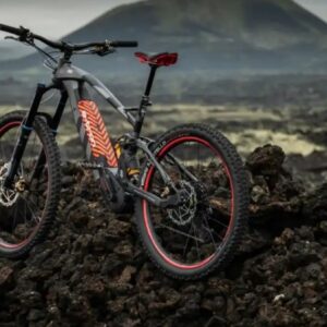 Lee más sobre el artículo Audi electric mountainbike: la bicicleta eléctrica que nace del Dakar