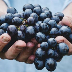 Lee más sobre el artículo 7 beneficios del Resveratrol que te sorprenderán