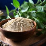 Guía completa sobre la Ashwagandha: Qué es, usos y beneficios para la salud