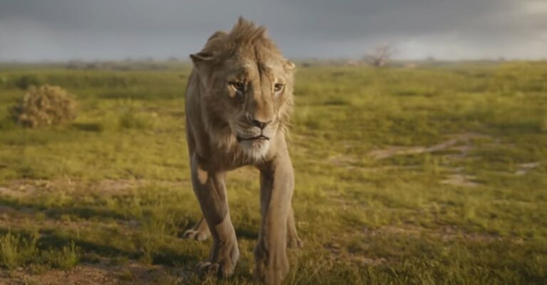 Lee más sobre el artículo “Mufasa: El rey león” estrena su tráiler final