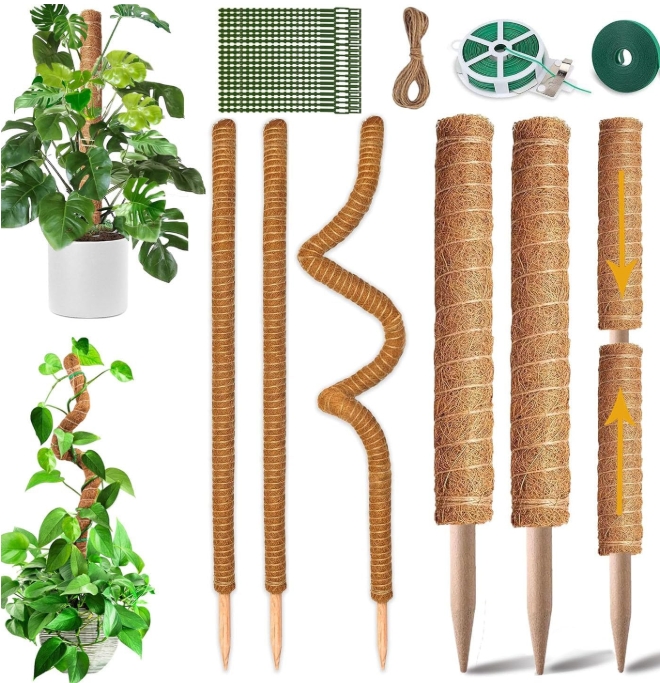 Accesorios para plantas