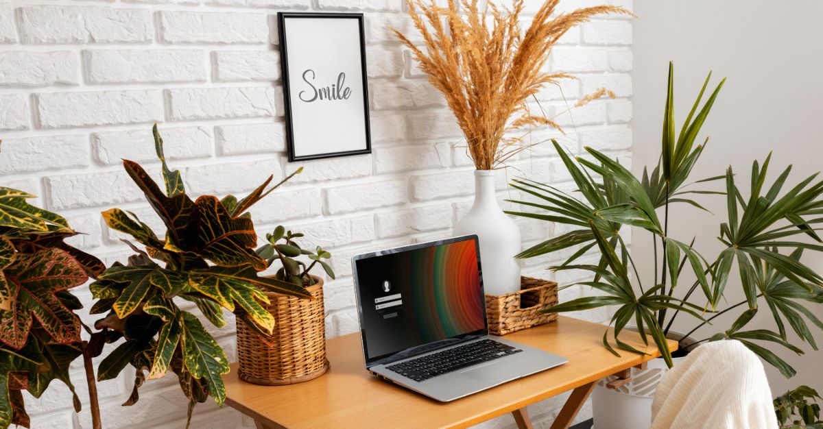 En este momento estás viendo Guía para la decoración de tu oficina en casa con plantas