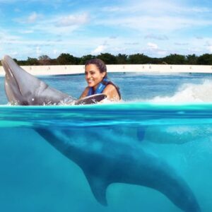 Lee más sobre el artículo ¿Vacaciones en Punta Cana Todo Incluido? No Te Pierdas el Nado con Delfines