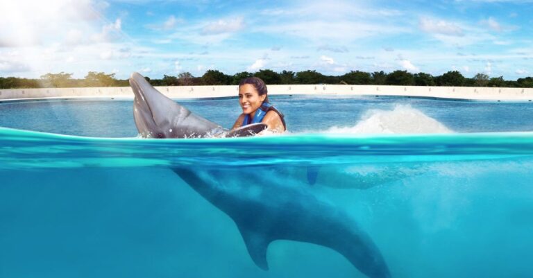 Lee más sobre el artículo ¿Vacaciones en Punta Cana Todo Incluido? No Te Pierdas el Nado con Delfines