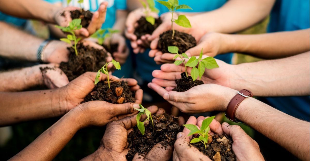 espacios públicos sostenibles promueven educación ambiental