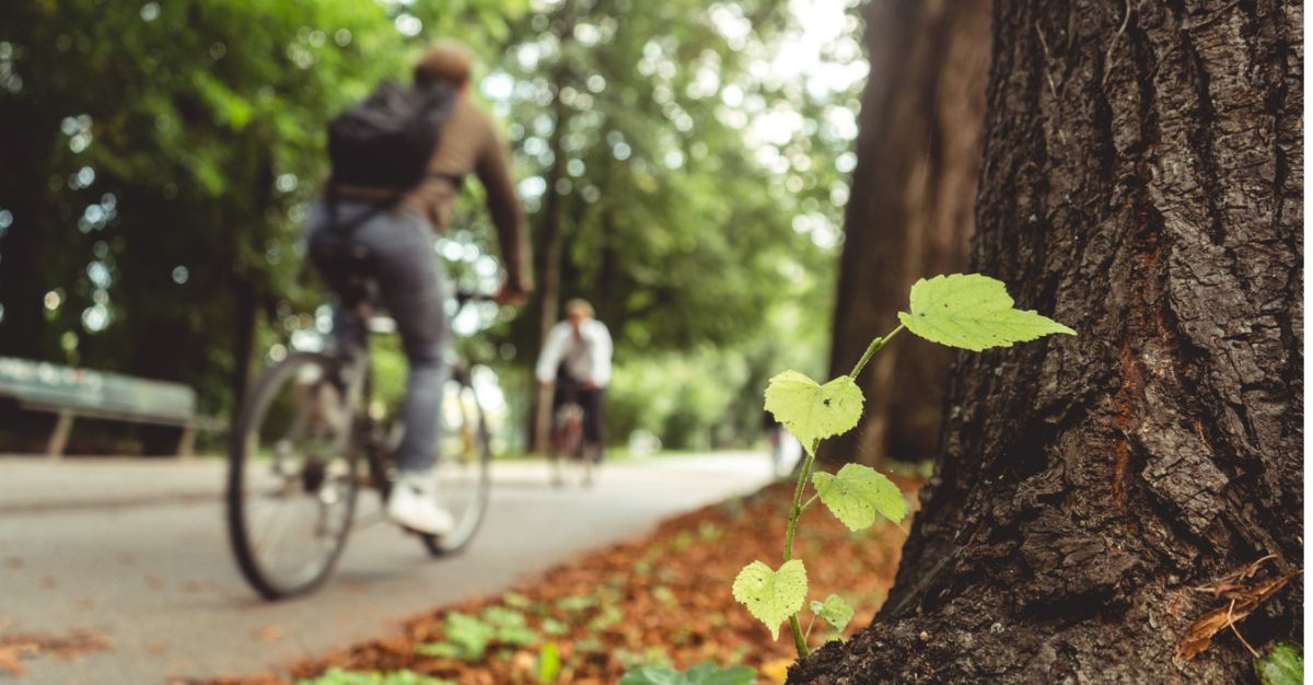 espacios públicos sostenibles