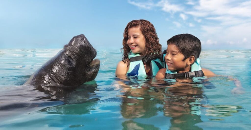 Isla Mujeres nadar con delfines (1)