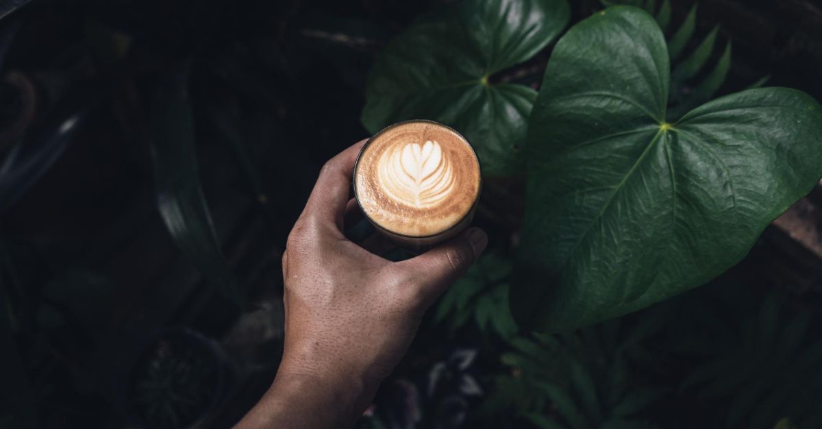 Tendencias del consumo café 2025